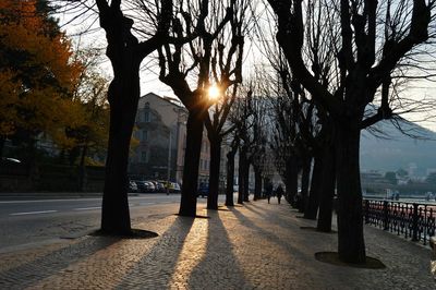 Street amidst trees in city against sky