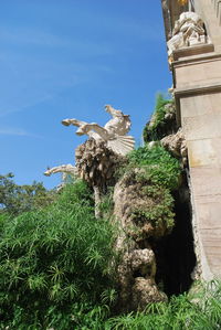 Cactus plants against blue sky