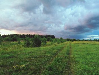 Scenic view of field against cloudy sky