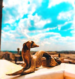 View of lizard on rock against sky