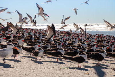 Calm, placid waters of the waterway that flows from clam pass into the ocean in naples, florida.