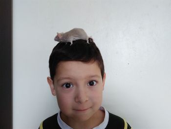 Portrait of cute boy with mouse on head