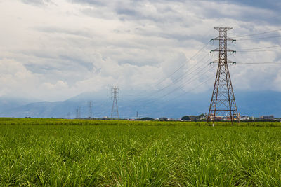 Electrical network and sugar cane field at valle del cauca region in colombia
