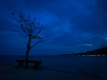 Silhouette of bare tree by calm sea