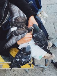 Low section of people sitting on street