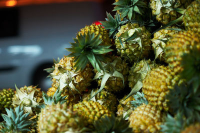 Close-up of flowers for sale