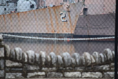 Close-up of object on wall