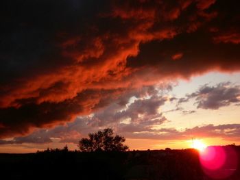 Silhouette trees against dramatic sky during sunset