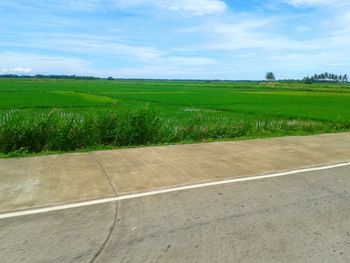 Scenic view of field against cloudy sky