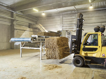 Rumania, woodworking, stacker truck with hay bales