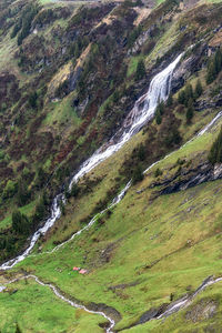 scenics - nature