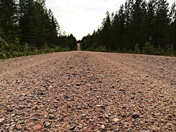 Surface level of road