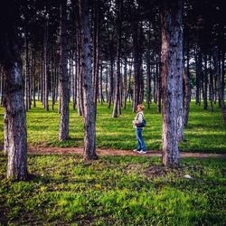 Full length of man standing on grass in park