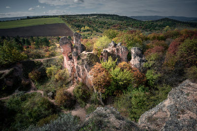 Scenic view of landscape against cloudy sky