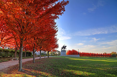 Trees on field against sky during autumn