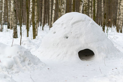 Close-up of snow covered landscape