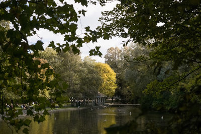 Trees and plants in park