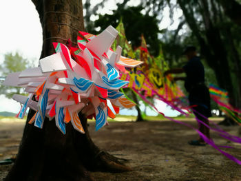 Close-up of multi colored umbrella