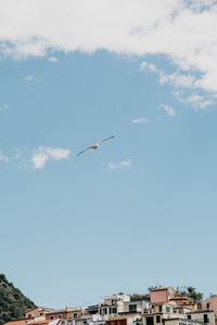 Low angle view of seagulls flying in sky
