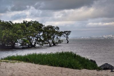 Scenic view of sea against cloudy sky