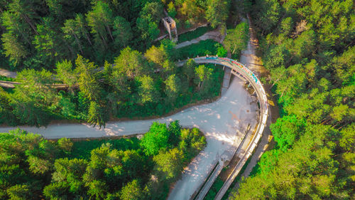 High angle view of road amidst trees