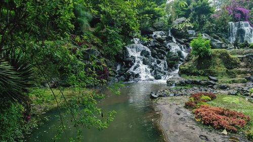 Scenic view of waterfall in forest