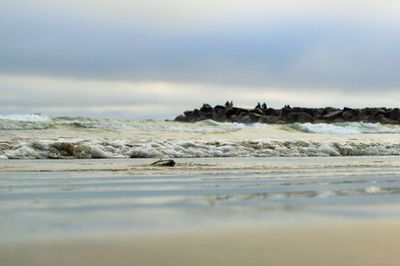 Surface level of calm sea against the sky