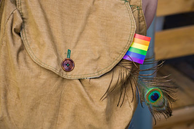 Close-up of rainbow flag and peacock feather in backpack