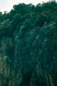 Scenic view of waterfall