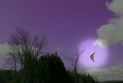 Low angle view of trees against cloudy sky