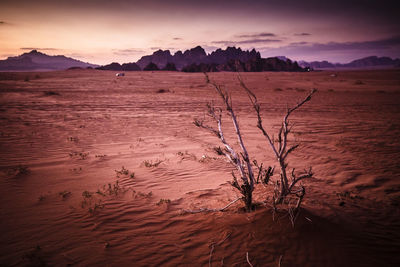 Scenic view of landscape against sky during sunset