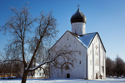 A snow-covered orthodox church and a tree against a blue sky