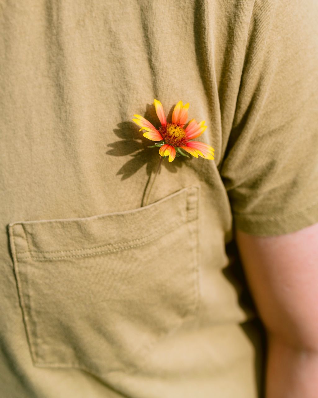 yellow, flower, flowering plant, clothing, one person, green, midsection, plant, spring, casual clothing, close-up, holding, nature, adult, front view, fragility, standing, beauty in nature, freshness, men