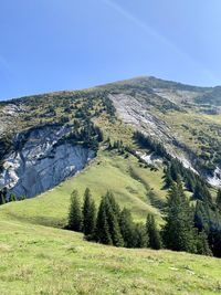Scenic view of landscape against clear blue sky