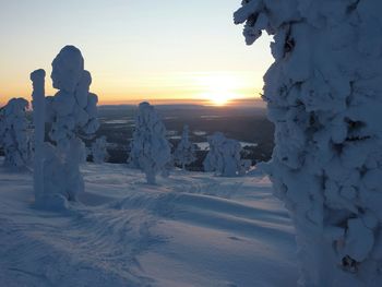 Scenic view of sunset over sea