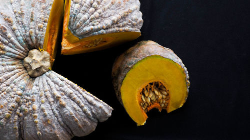 Close-up of seashell on black background