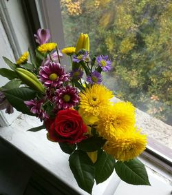 Close-up of yellow flower