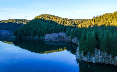 Scenic view of lake by trees against sky