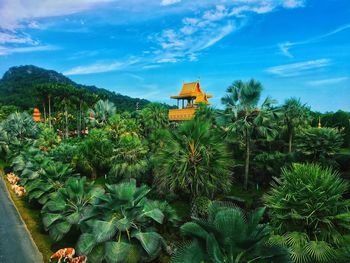 Scenic view of flowering plants against sky