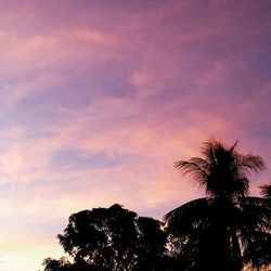 Low angle view of silhouette trees against sky