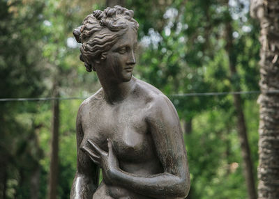 Close-up of statue in park