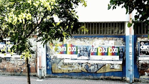 Clothes hanging on tree against building