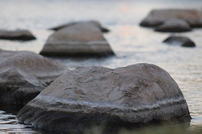 Close-up of rock in sea