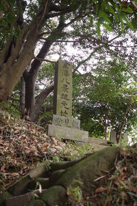 Low angle view of cross on tree trunk