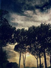 Low angle view of trees against cloudy sky