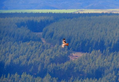 High angle view of person paragliding over mountain