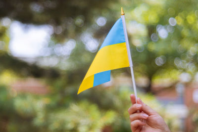 Close-up of hand holding yellow flag