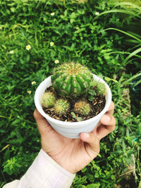 Close-up of hand holding potted plant