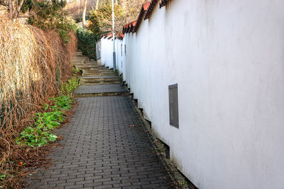 Narrow alley along buildings