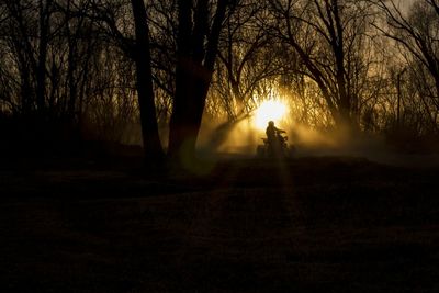 Silhouette people on road amidst bare trees during foggy weather